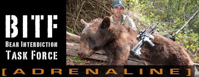 Barnes Bullets Bear Hunt