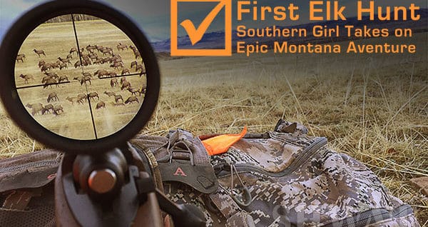 Montana Elk Hunt
