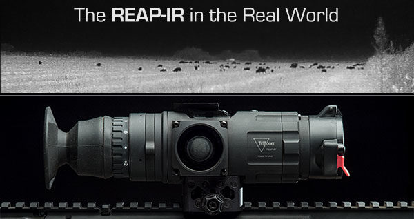 REAP-IR REVIEW