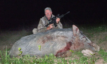 Hog Hunting Tips and Tactics
