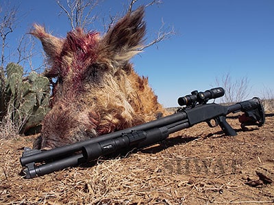 The Shotgunner’s Hog Hunter