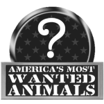America’s Most Wanted… Animals