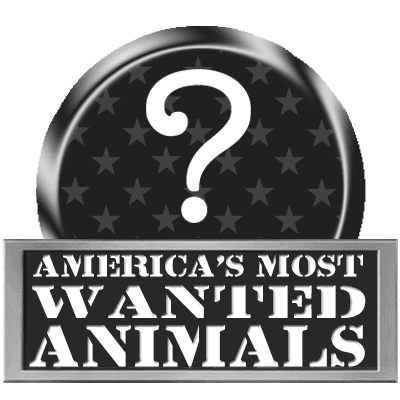 America’s Most Wanted… Animals