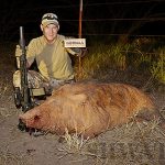Gorillas Chasing Hogs – The Holy Grail of Hog Hunting? Gorilla Ammunition 208 Grain Subsonic Results