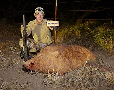 Gorillas Chasing Hogs – The Holy Grail of Hog Hunting? Gorilla Ammunition 208 Grain Subsonic Results