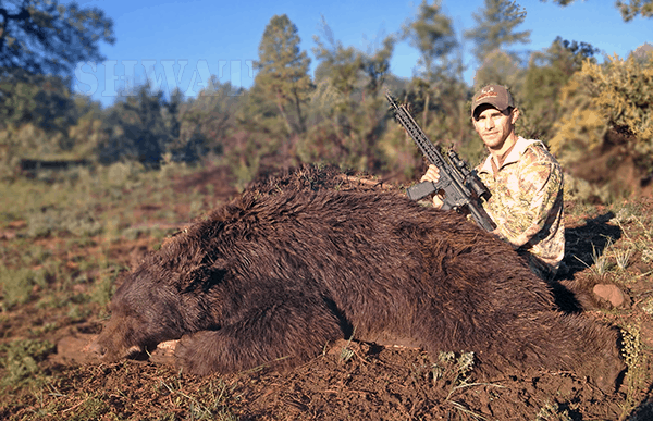 300 Black(Bear)Out – Taking Down Black Bears with the Barnes Bullets 120 Grain VOR-TX 300 Blackout
