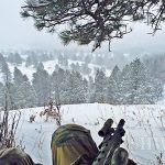 Wyoming Hunting in the Negatives – Part 2: Whitetail Deer