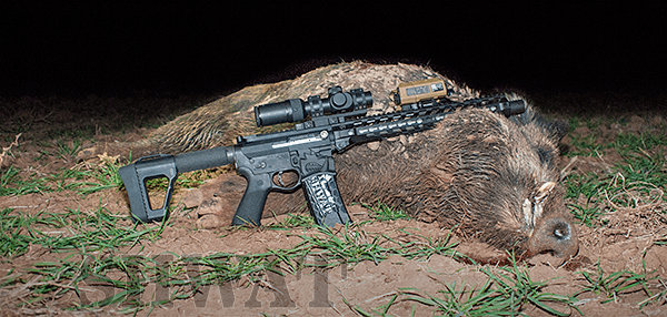 .458 SOCOM – Hog Hammer of Death Part 2: Big Bore for Big Boar