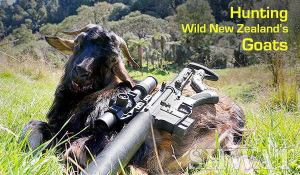 Epic Adventure: Hunting New Zealand’s Wild Goats with an 6.5 Grendel AR-15