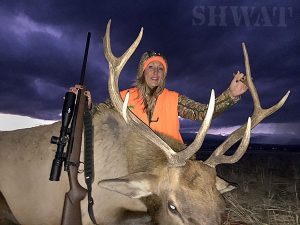 Bull Elk Hunt Montana