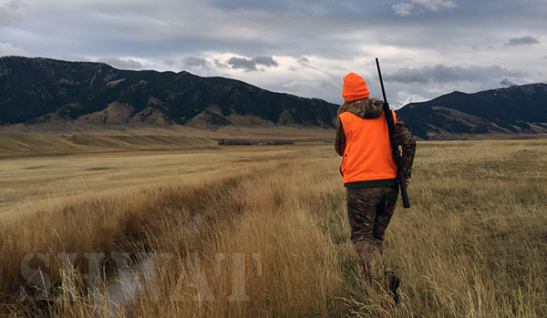 hunting-elk-in-montana