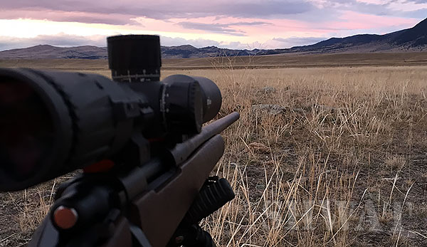 remington-30-06-elk-hunt