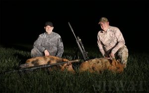 308 subsonic hog hunting