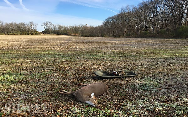 300 yard deer shot