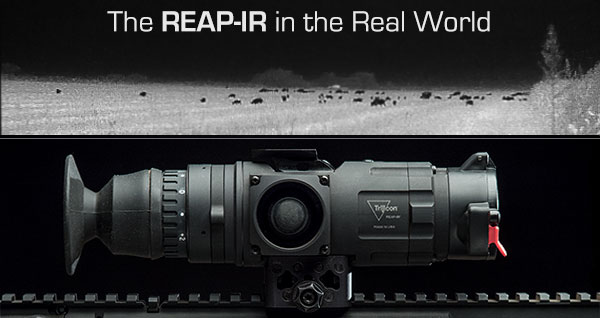 Hundreds of Hogs – Real World Hunting with the Trijicon EO REAP-IR