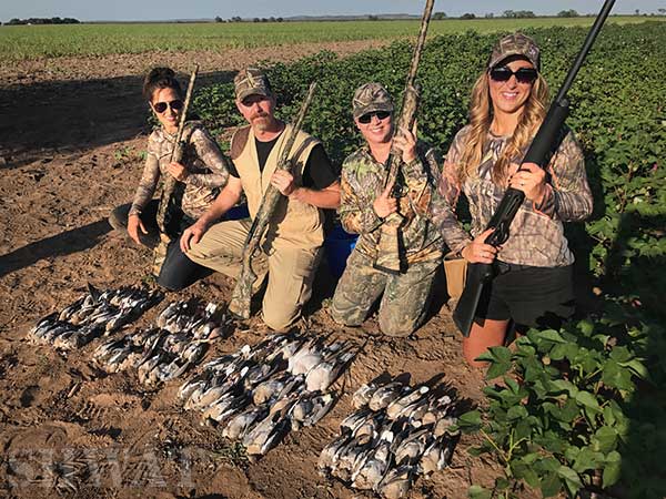 Remington Shotgun for Dove Hunting