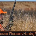 Yes, Tactical Pheasant Hunting is a Thing and Here’s Why You Want To Try It