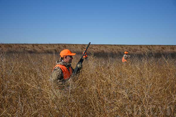 Ringneck-Classic-Pheasant-Hunt