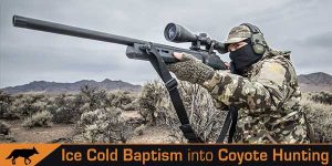 260 Remington Coyote Hunting