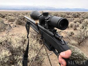 Remington 700 coyote hunting