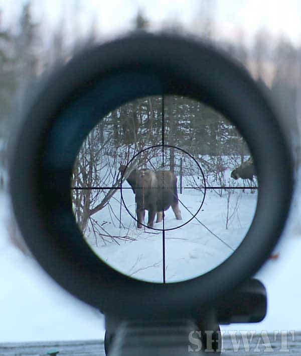 mid range hunting scope