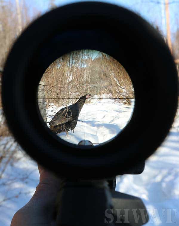 Hunting with magnified optic