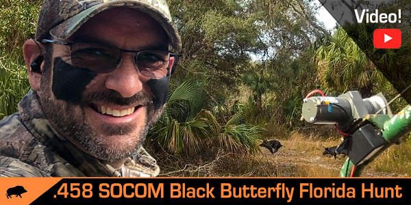 Black Butterfly Lands On Wild Hog Video (458 SOCOM in Florida!)