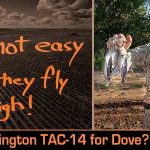 Remington TAC-14 Not-A-Shotgun for Dove Hunting? Yeah, We Try That!