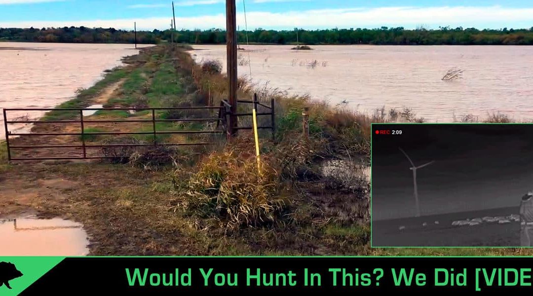 Defying the Odds – Thermal Hog Eradication Video After Way Too Much Rain