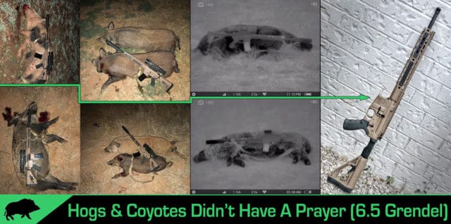 Hog and Coyote Hunting with 6.5 Grendel