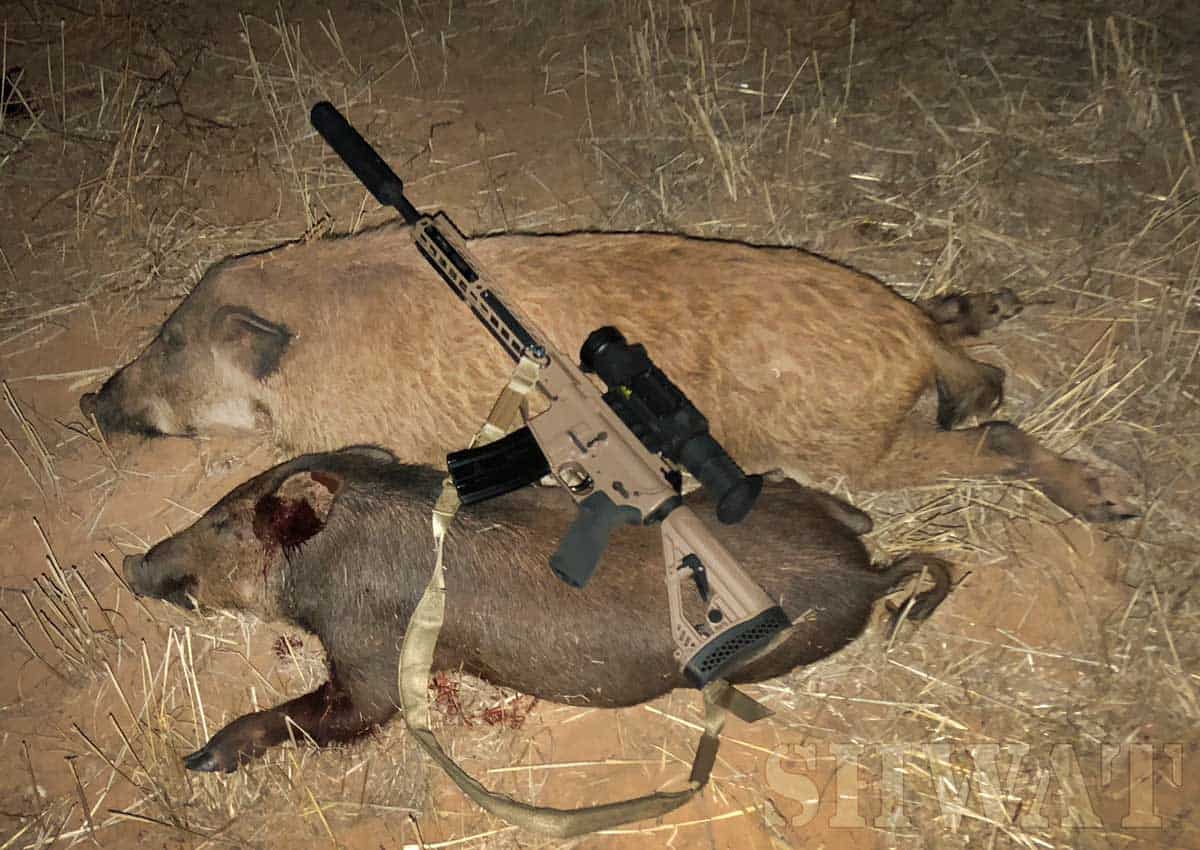Pulsar-Trail-for-hog-hunting