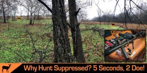 Should I hunt suppressed?