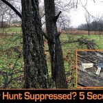 Five Seconds, Two Doe Down. Bowers VERS 458 Suppressor Field Tested