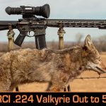Can You Nail Prairie Dogs at 500+ Yards with a .224 Valkyrie? Adventures with LWRCI!