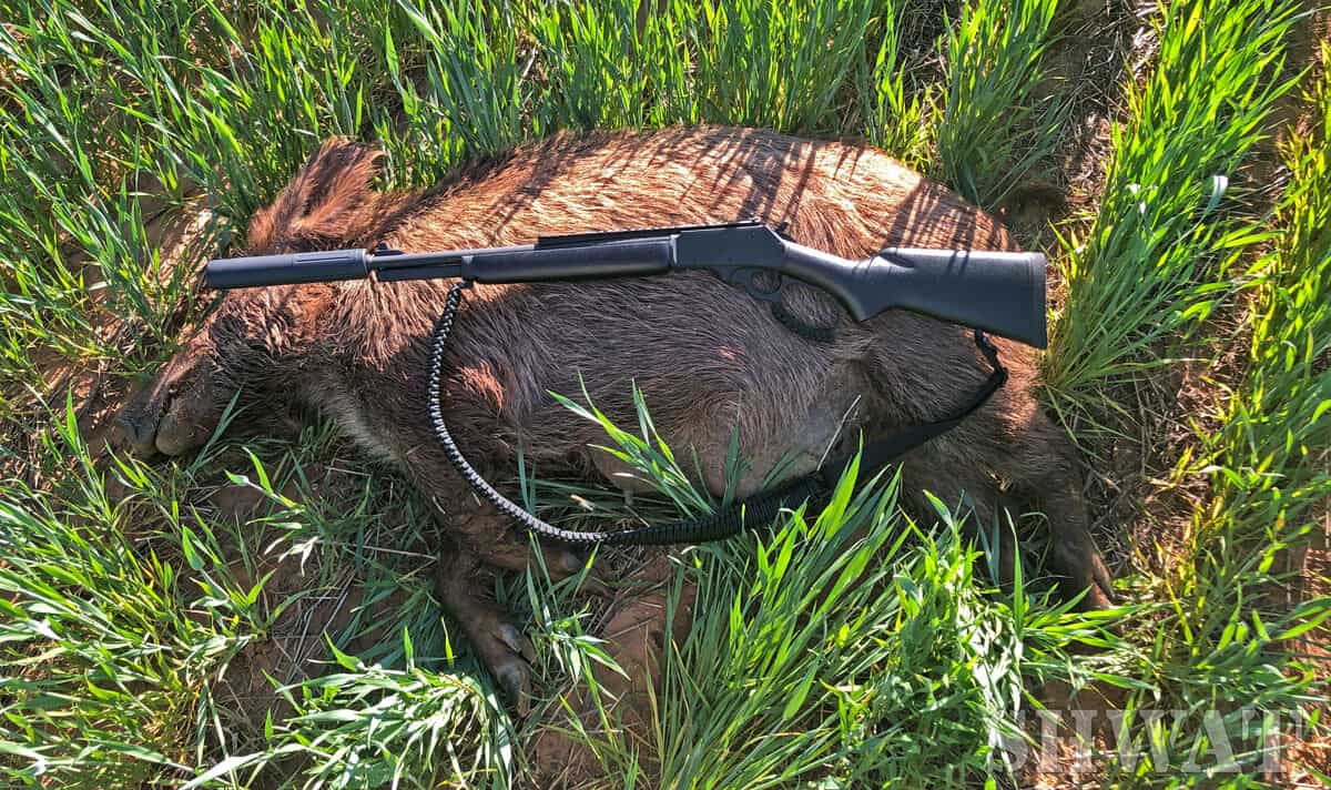 Is 30-30 any good for hog hunting?