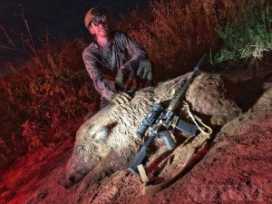 bullet call for hog hunt