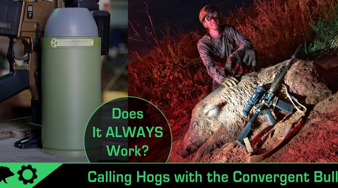 What Do You Know, It Works! Hog Calling with the Convergent Bullet HD!
