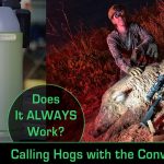 What Do You Know, It Works! Hog Calling with the Convergent Bullet HD!