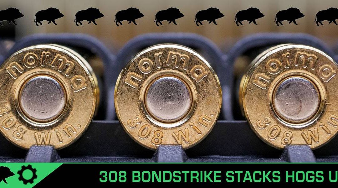 BONDSTRIKE Body Count – .308 Norma Ammo and a PWS Rifle Stack Them Up!