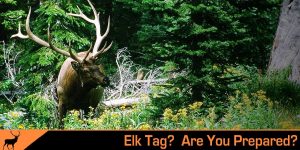 How to get ready for elk hunting