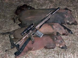 Hog hunting Norm Bondstrike