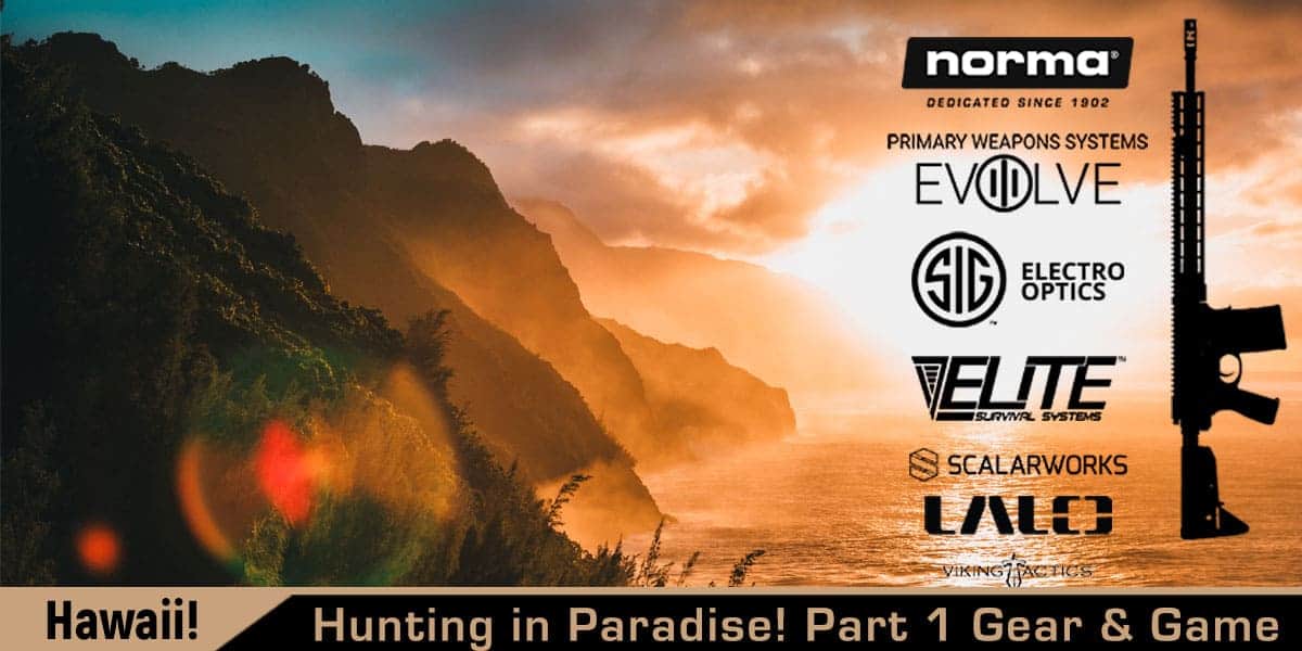 Hunt Hawaii? YES!!! Part 1: The Gear and Game for Hunting in Paradise