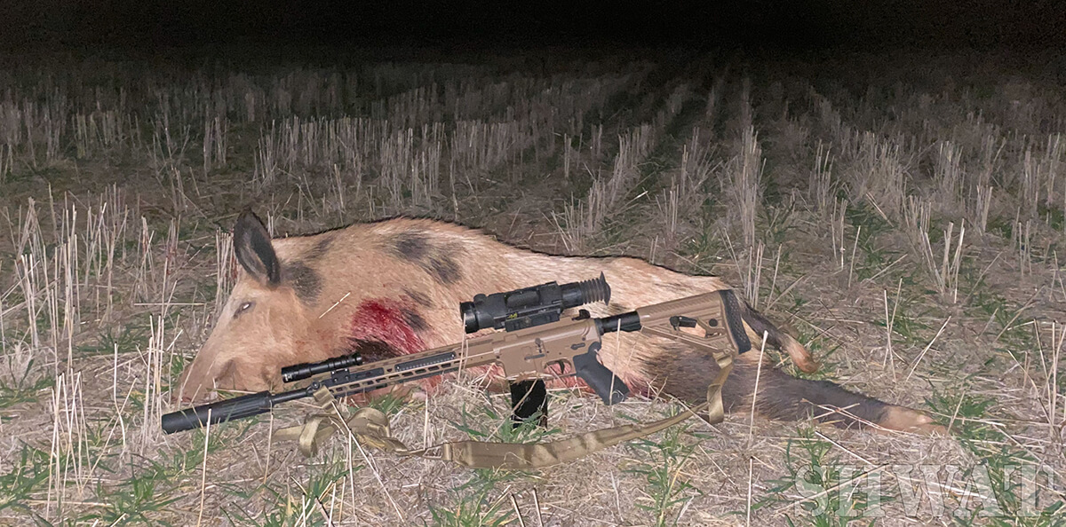 Barnes VOR-TX for Hog Hunting