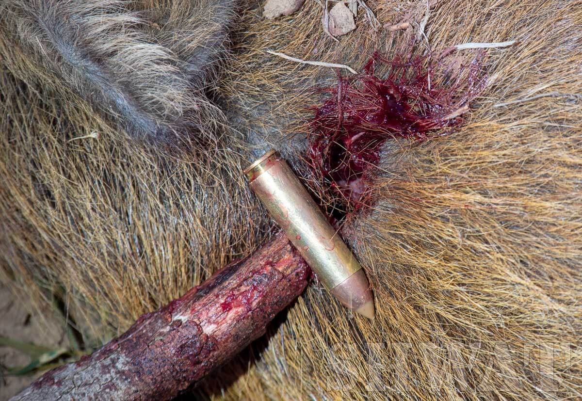 remington htp copper 450 bushmaster hunting review