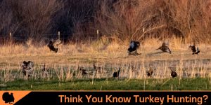 the best turkey hunt
