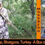 A Box of Chocolates, A Couple of Mossbergs, and the Transformation of Our Youngest Hunter