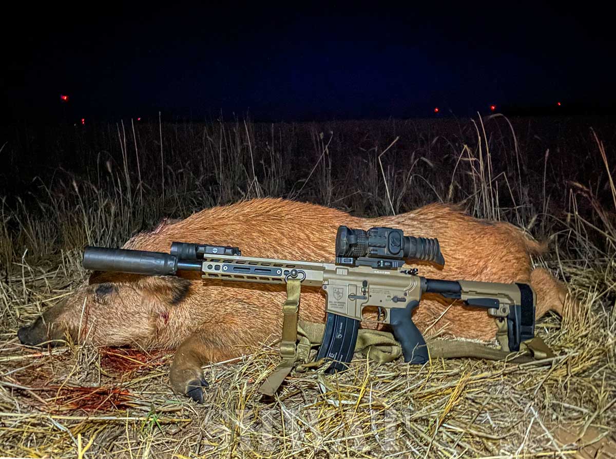 AR for hog hunting