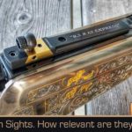 Iron Sights: Are they still relevant to you?