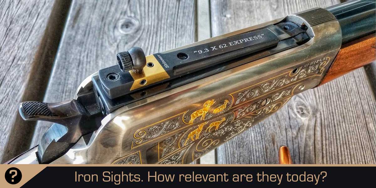 Iron Sights: Are they still relevant to you?