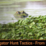 Tactical Alligator Hunting? “Yes, Please!” She Says!